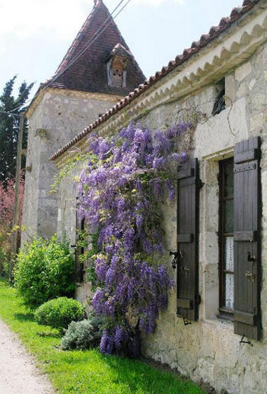 Bed and Breakfast Chambre D'Hotes Le Pigeonnier De Quittimont Lacepede Экстерьер фото